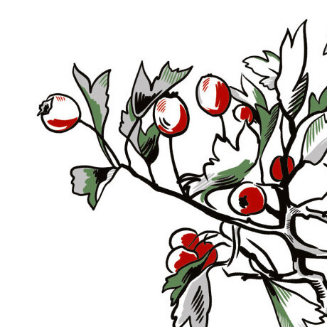 Діти голоду - Vivat