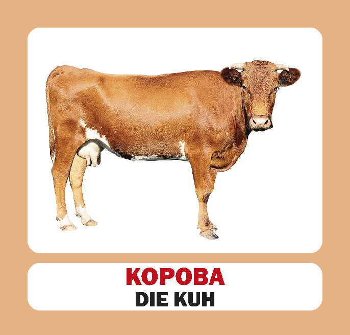 Домашні тварини / Die Haustiere. 17 карток - Vivat