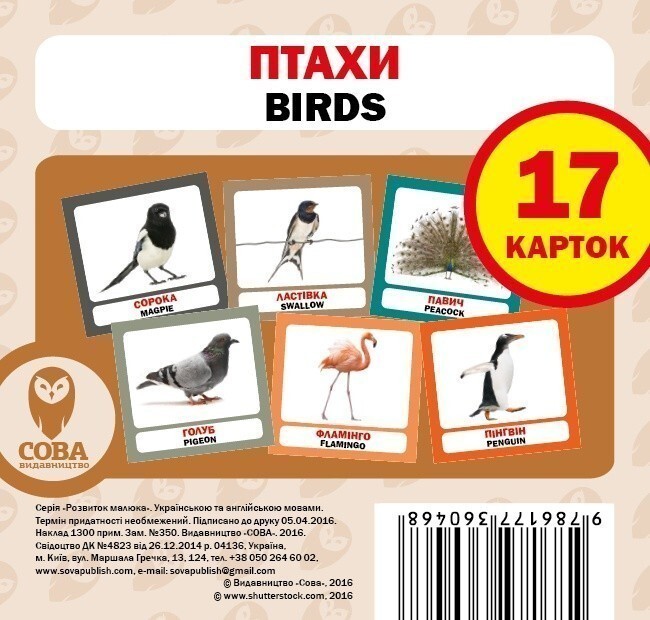 Птахи / Birds. 17 карток - Vivat